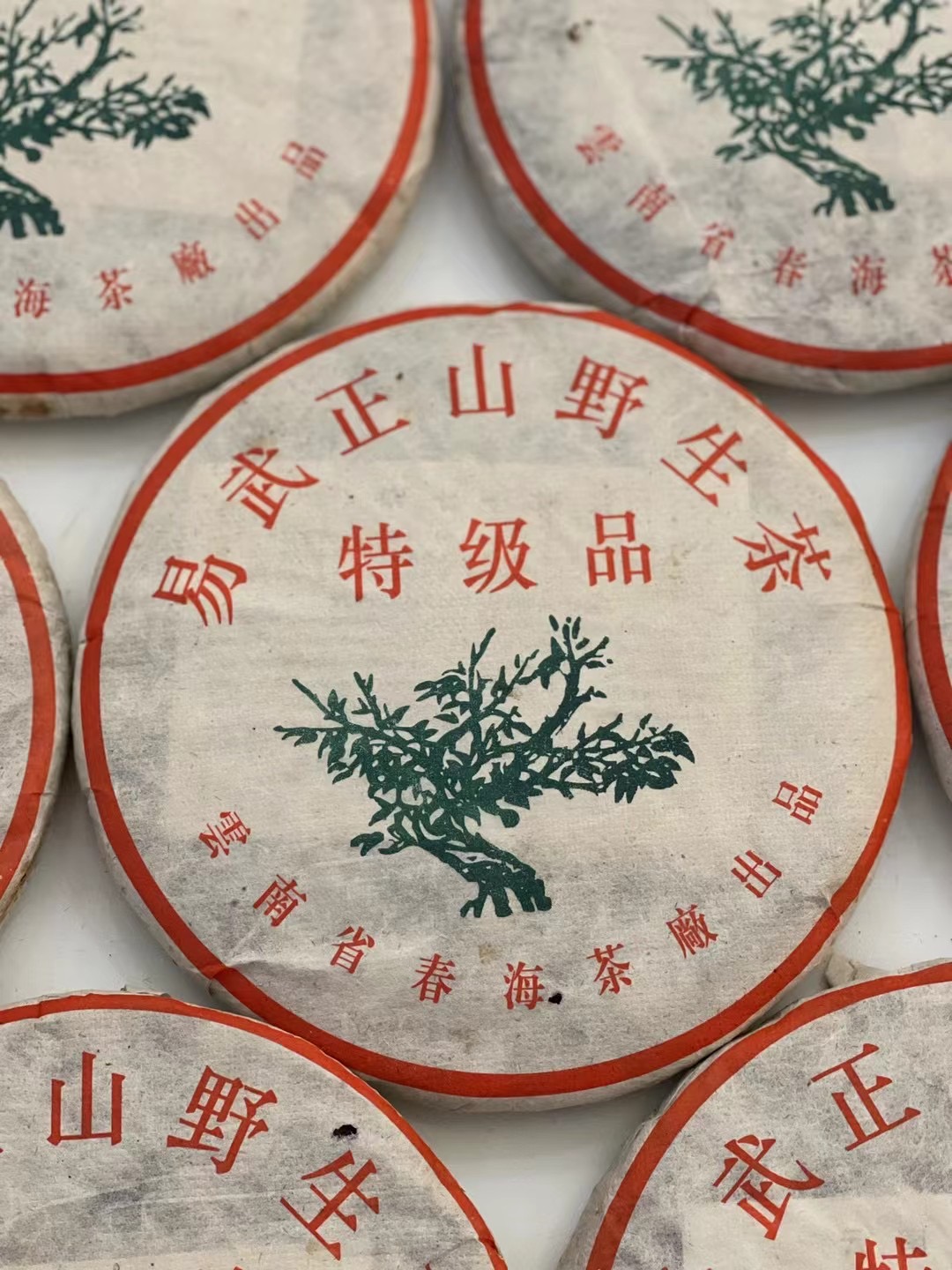 2010年 易武正山野生茶 特级品一颗树生饼 357克 清甜爽口