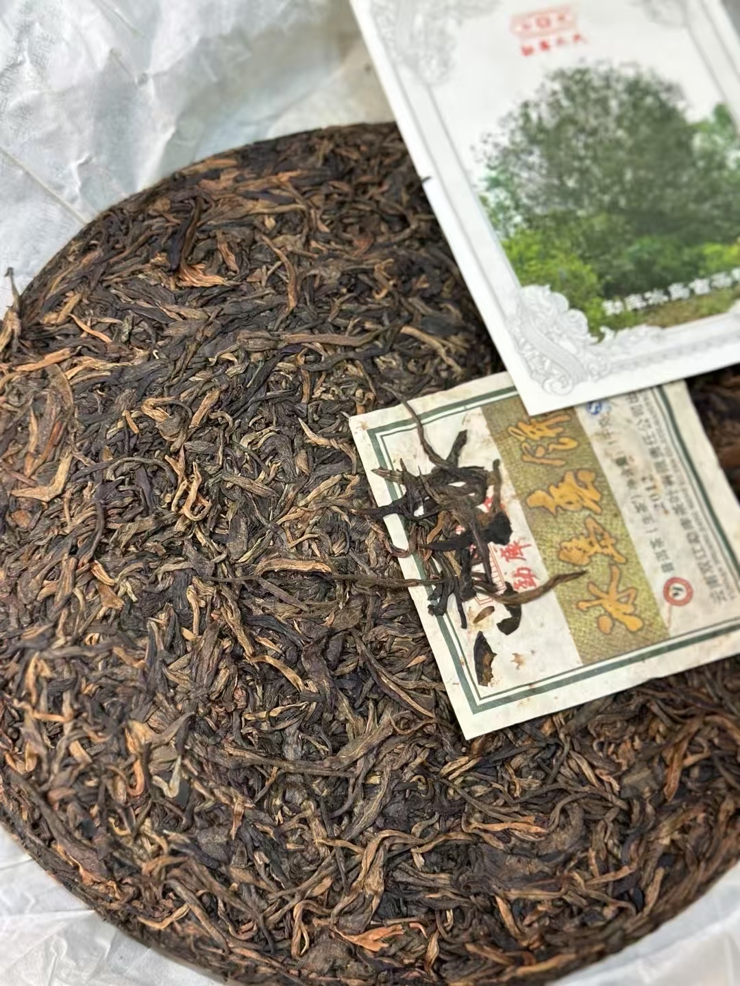 2012年勐库戎氏 冰岛春饼 1000克冰岛古树生茶 3