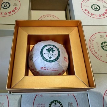 尾货特卖 2021年今大福灰纸沱 250克生茶