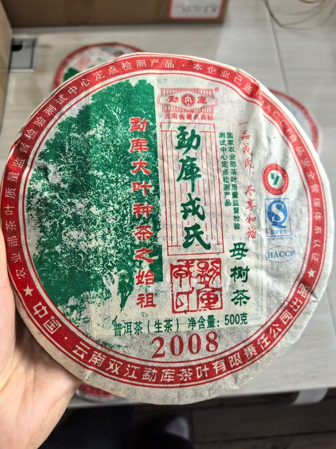 2008勐库母树高香漂亮仓储