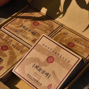 澜沧古茶2010年澜沧芳砖普洱茶生茶云南茶叶老茶口粮生普砖茶500g