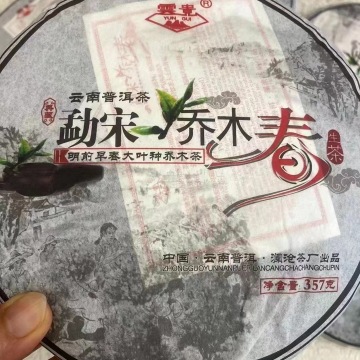 2011年勐宋明前春茶乔木大树生茶，每件42饼，散提散饼售
