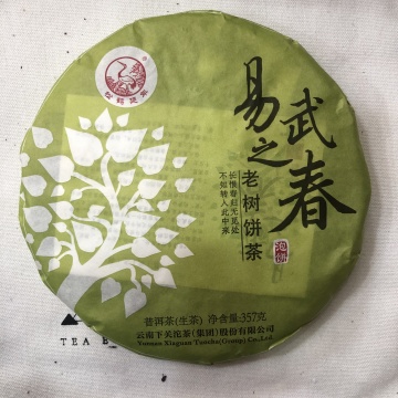 有茶油2015年下关易武之春云南普洱生茶357克
